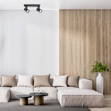 Φωτιστικό σποτ LYNX 2xGU10/10W/230V μαύρο