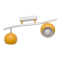 Φωτιστικό σποτ MORRIS 2xE27/15W/230V πορτοκάλι