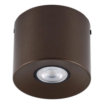 Φωτιστικό σποτ ORION 1xGU10/10W/230V 9 cm καφέ