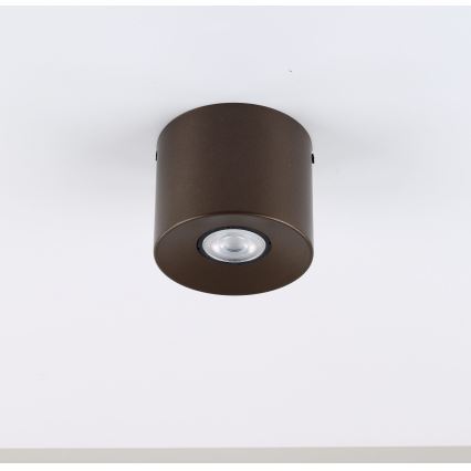Φωτιστικό σποτ ORION 1xGU10/10W/230V 9 cm καφέ