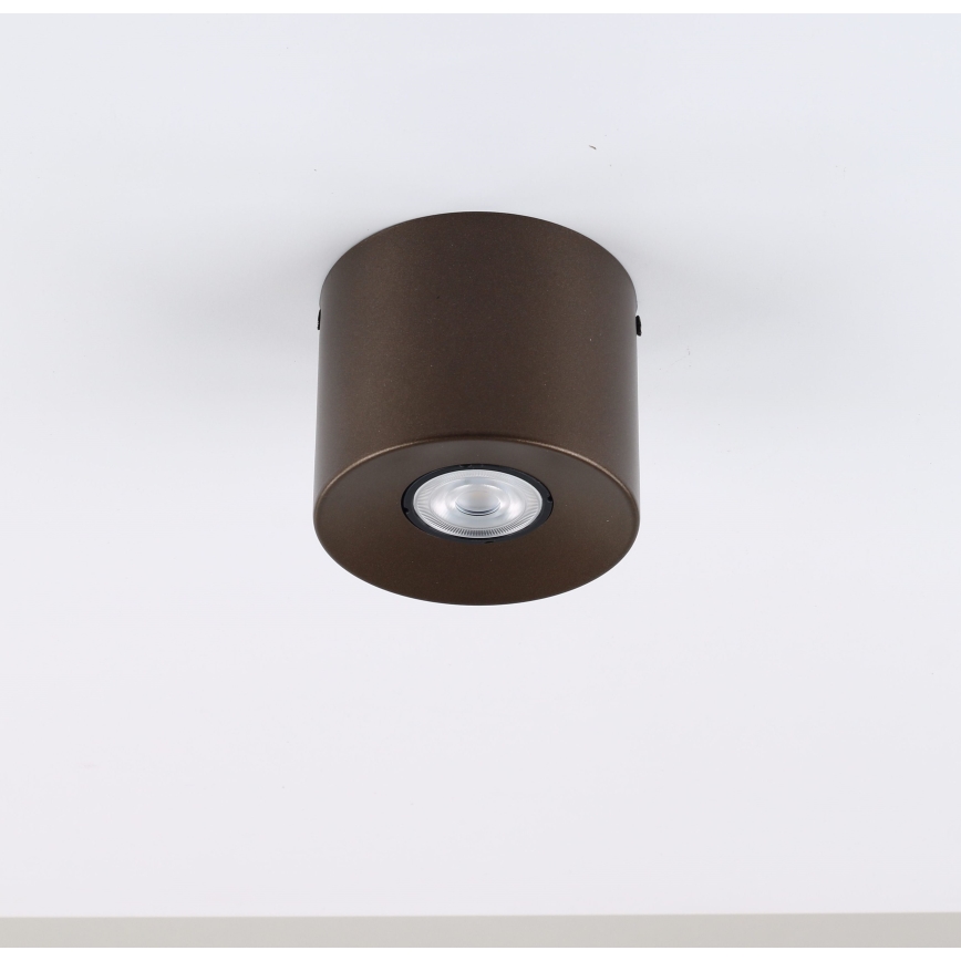 Φωτιστικό σποτ ORION 1xGU10/10W/230V 9 cm καφέ