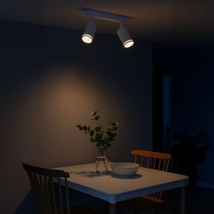 Φωτιστικό σποτ PIPE 2xGU10/10W/230V λευκό