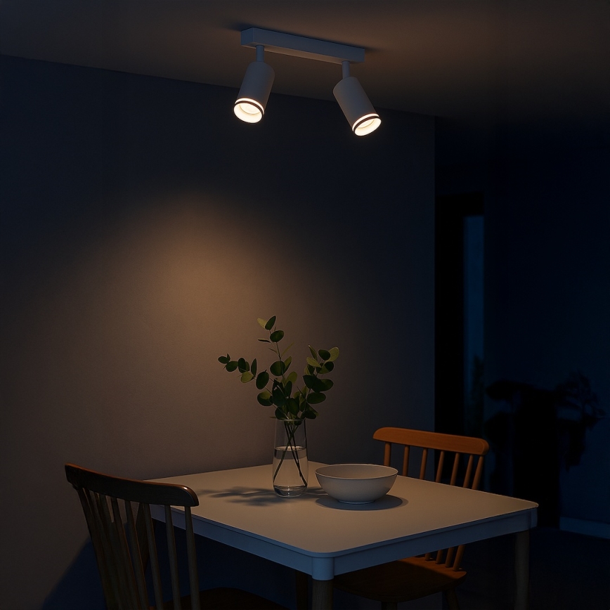 Φωτιστικό σποτ PIPE 2xGU10/10W/230V λευκό