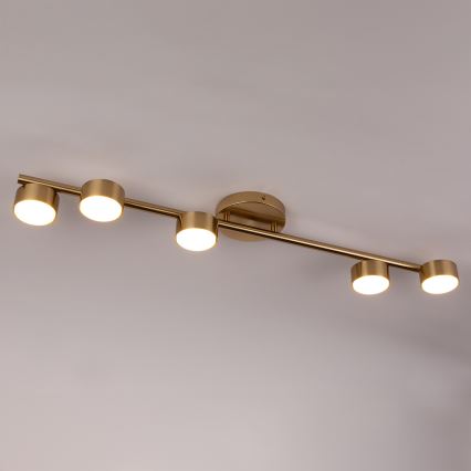 Φωτιστικό σποτ PUNTO 5xGX53/12W/230V χρυσό