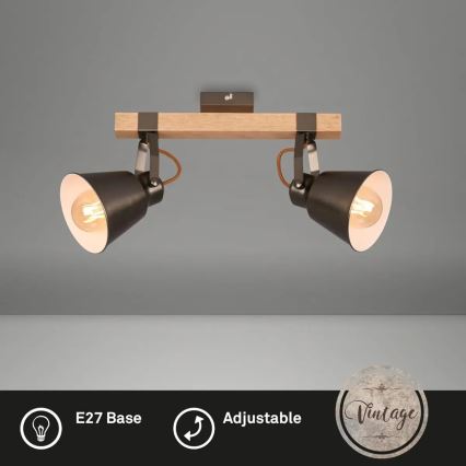 Φωτιστικό σποτ RETRO 2xE27/40W/230V καφέ