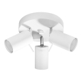 Φωτιστικό σποτ RING 3xGU10/10W/230V λευκό