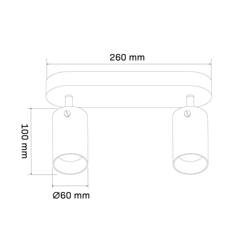 Φωτιστικό σποτ SMOKY 2xGU10/10W/230V μαύρο
