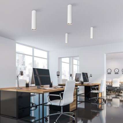 Φωτιστικό σποτ TUNE L 1xGU10/10W/230V 24 cm λευκό