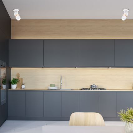 Φωτιστικό σποτ VIDAR 1xGU10/25W/230V