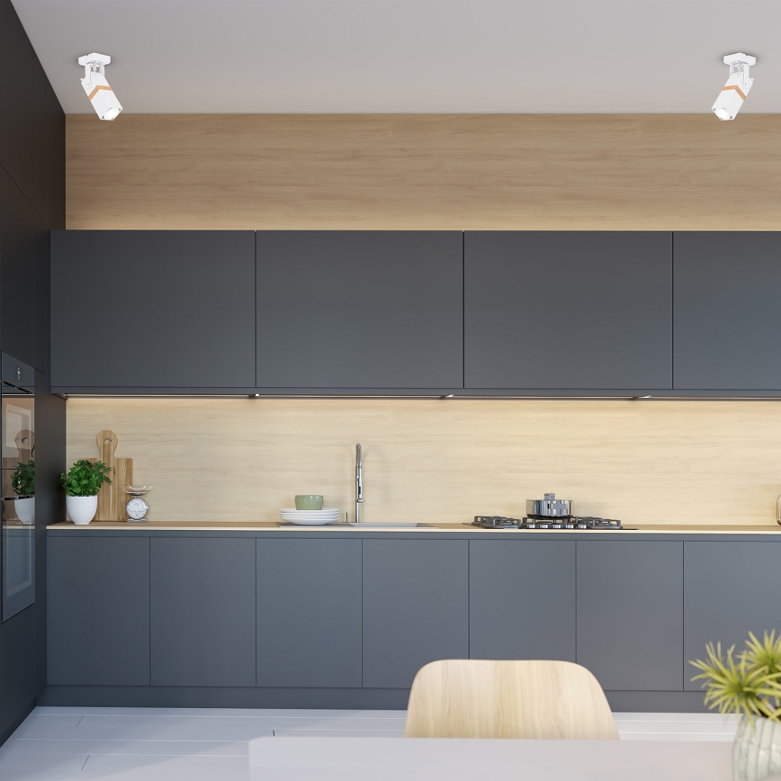 Φωτιστικό σποτ VIDAR 1xGU10/25W/230V