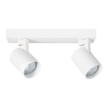 Φωτιστικό σποτ VOLF 2xGU10/10W/230V λευκό