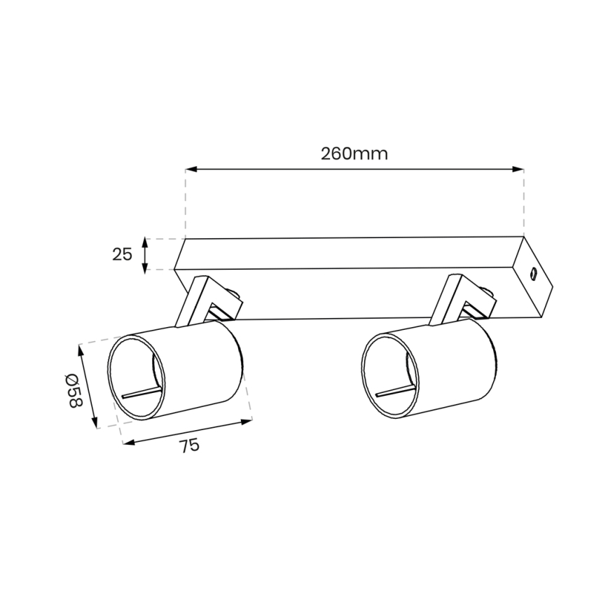 Φωτιστικό σποτ VOLF 2xGU10/10W/230V λευκό