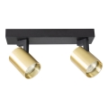 Φωτιστικό σποτ VOLF 2xGU10/10W/230V χρυσαφί/μαύρο