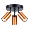 Φωτιστικό σποτ WINX 3xGU10/10W/230V μαύρο/χαλκός