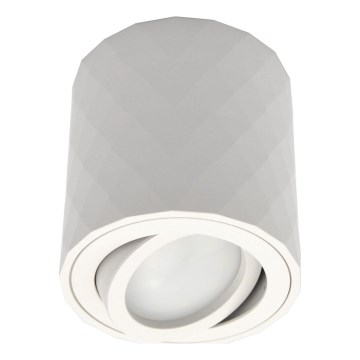 Φωτιστικό σποτ ZOLA 1xGU10/30W/230V λευκό