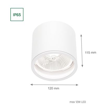 Φωτιστικό σποτ μπάνιου CHLOE AR111 1xGU10/12W/230V IP65 στρογγυλό λευκό