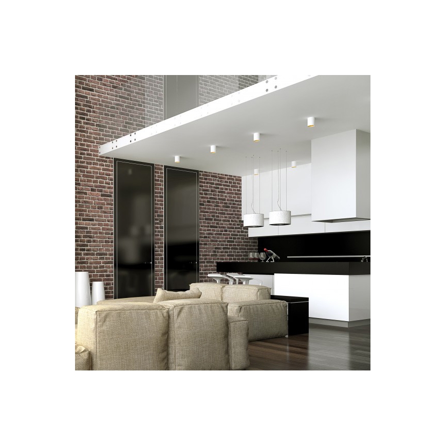 Φωτιστικό σποτ CHLOE 1xGU10/10W/230V