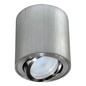 Φωτιστικό σποτ FEBE 1xGU10/30W/230V ματ χρώμιο