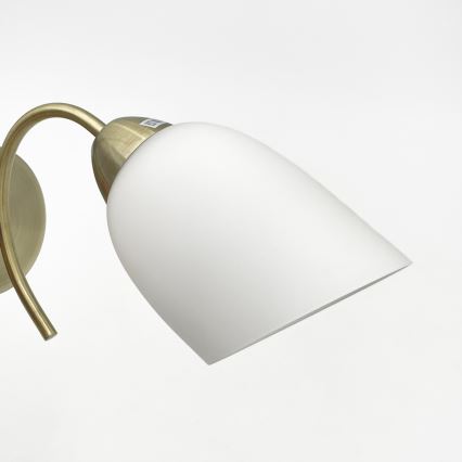 Φωτιστικό τοίχου DONNA 1xE27/60W/230V πατίνα