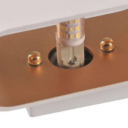 Φωτιστικό τοίχου ELISSA 1xG9/10W/230V λευκό