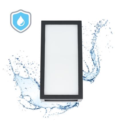 Φωτιστικό τοίχου LED εξωτερικού χώρου ENTERA LED/10W/230V 4000K IP54