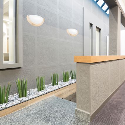 Φωτιστικό τοίχου NATURAL SLIM 1xE27/60W/230V πεύκο