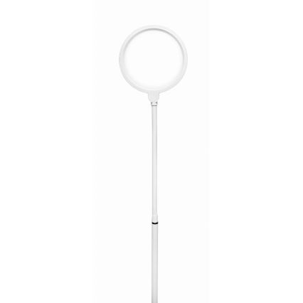 Φωτιστικό δαπέδου LED Dimmable 2σε1 LED/10W/230V λευκό