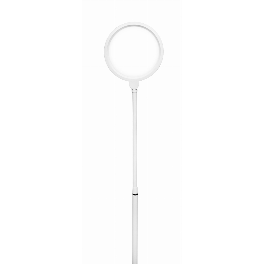 Φωτιστικό δαπέδου LED Dimmable 2σε1 LED/10W/230V λευκό