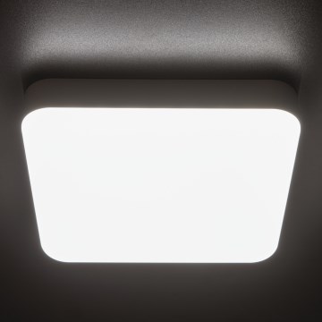 Φωτιστικό εργασίας οροφής LED IPER LED/19W/230V IK10 IP65 γωνιακό λευκό