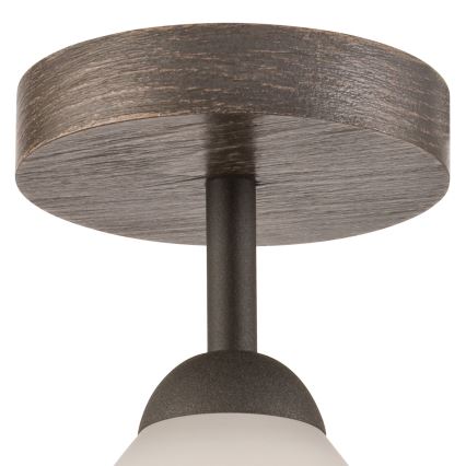 Επιτοίχιο φωτιστικό ADRIANO 1xE27/60W/230V οξιά