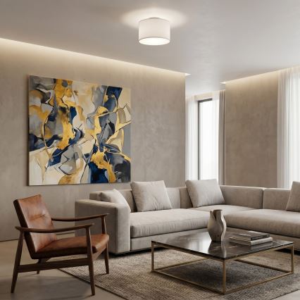 Φωτιστικό οροφής ARDEN 1xE27/15W/230V, Ø 25 cm, λευκό
