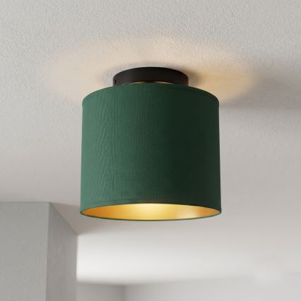 Φωτιστικό οροφής ARDEN 1xE27/15W/230V, διάμ. 18 εκ., πράσινο