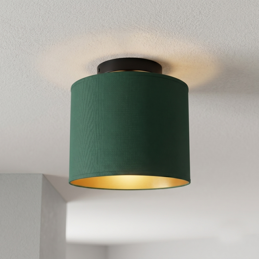 Φωτιστικό οροφής ARDEN 1xE27/15W/230V, διάμ. 18 εκ., πράσινο