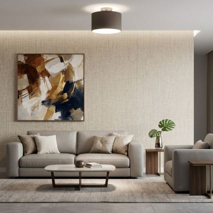 Φωτιστικό οροφής ARDEN 1xE27/15W/230V διάμ. 25 cm μαύρο