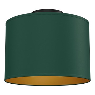 Φωτιστικό οροφής ARDEN 1xE27/15W/230V, διάμετρος 25 εκ., πράσινο