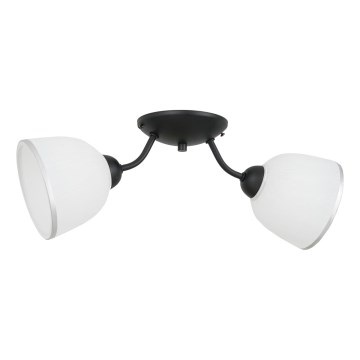 Φωτιστικό οροφής AVIA 2xE27/60W/230V