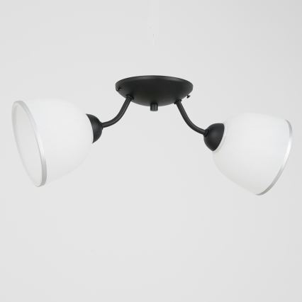 Φωτιστικό οροφής AVIA 2xE27/60W/230V