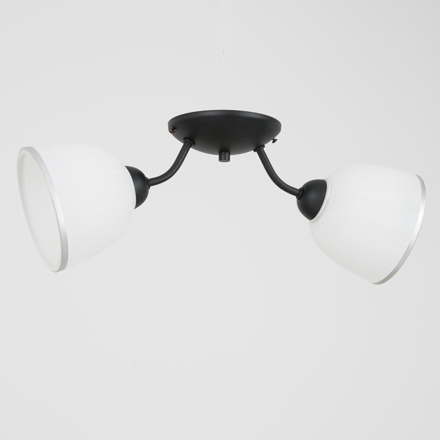 Φωτιστικό οροφής AVIA 2xE27/60W/230V