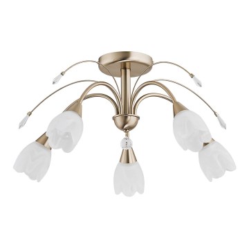 Φωτιστικό οροφής BASTER 5xE14/10W/230V χρυσό