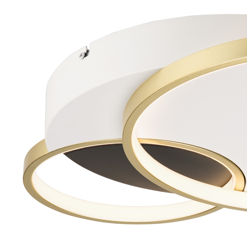 Φωτιστικό οροφής dimming BENITO LED/31W/230V 3000-6500K λευκό/χρυσαφί