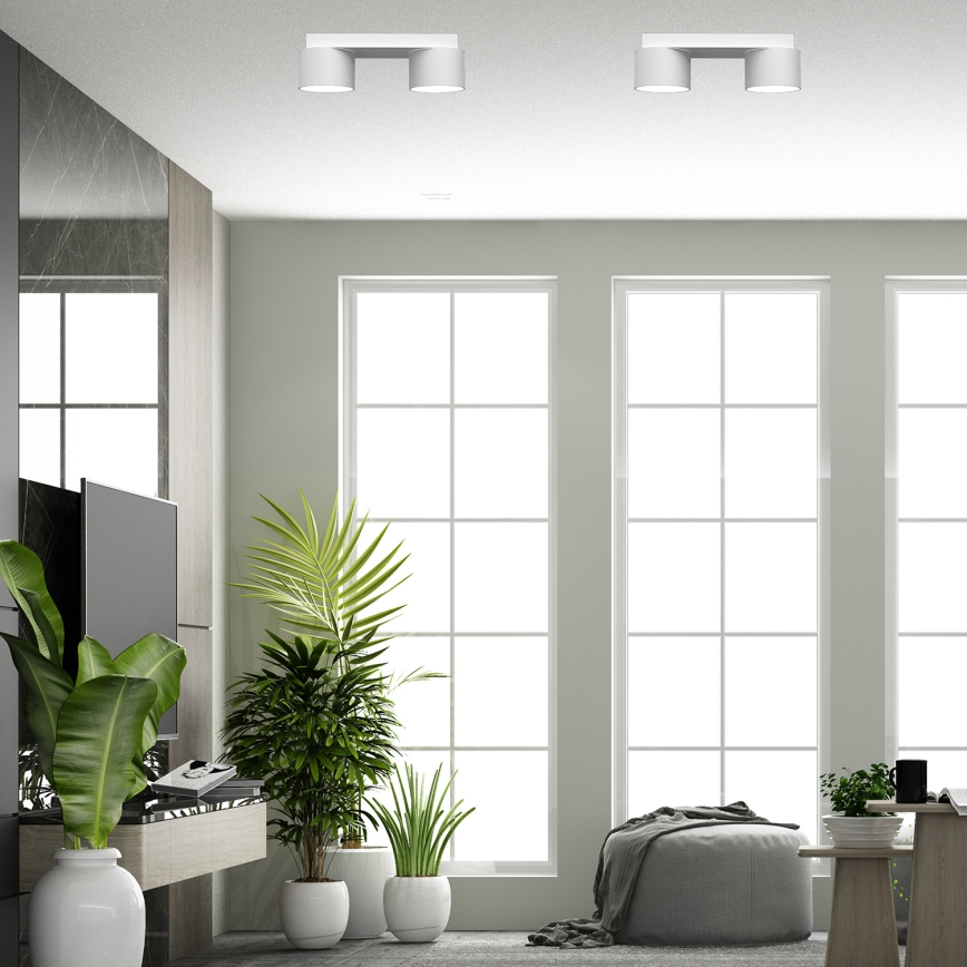 Φωτιστικό οροφής DIXIE 2xGX53/11W/230V λευκό