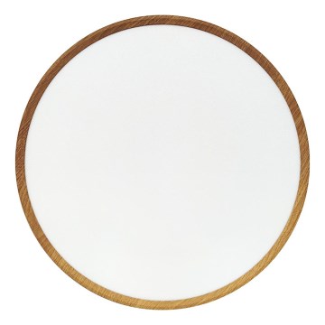 Φωτιστικό οροφής LED, 40W, 230V, 3000/4000/6500K, διάμ. 50 cm, μπεζ