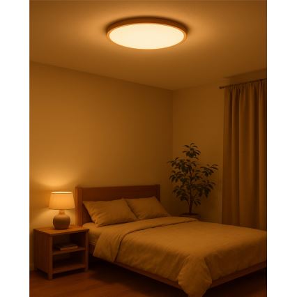Φωτιστικό οροφής LED, 40W, 230V, 3000/4000/6500K, διάμ. 50 cm, μπεζ