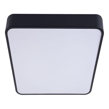 Φωτιστικό οροφής LED FELIZ LED/50W/230V 4000K 40x60 cm μαύρο
