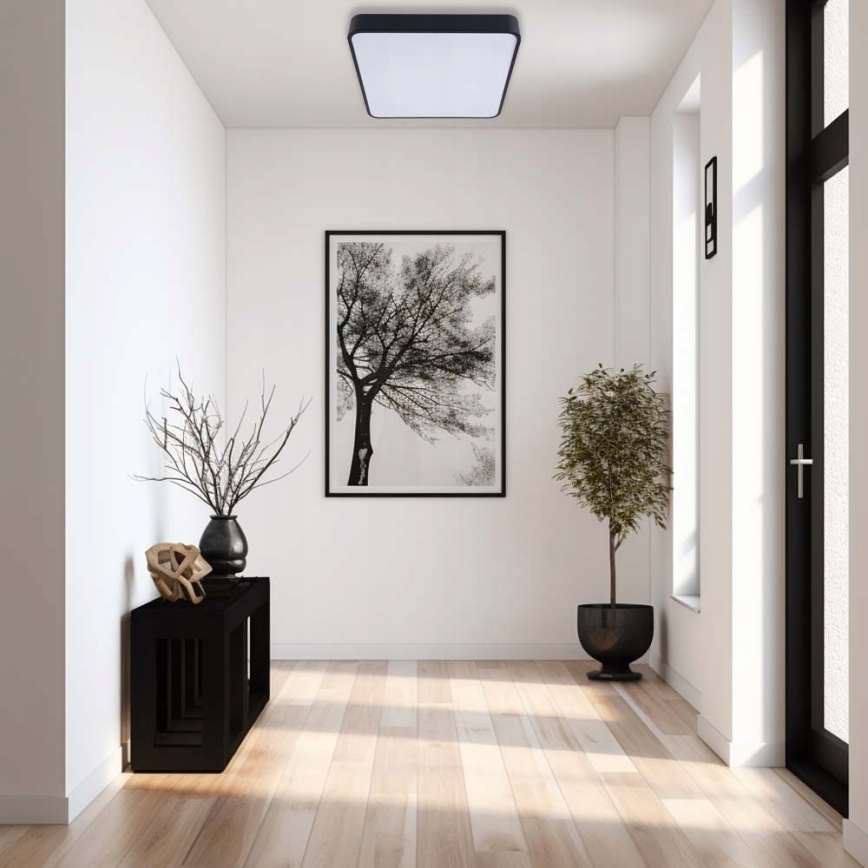 Φωτιστικό οροφής LED FELIZ LED/50W/230V 4000K 40x60 cm μαύρο