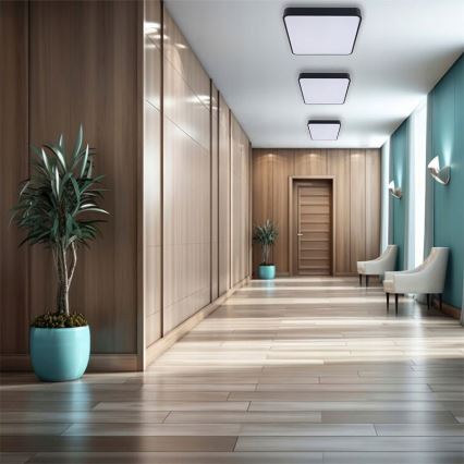 Φωτιστικό οροφής LED FELIZ LED/50W/230V 4000K 40x60 cm μαύρο