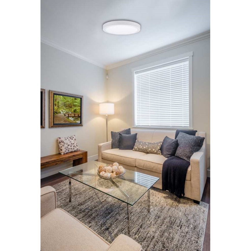 Φωτιστικό οροφής LED FENIX LED/12W/230V 3800K διάμετρος 17 cm snow λευκό