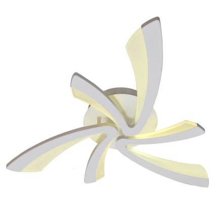 LED Ρυθμιζόμενο Φωτιστικό Οροφής FLORANCE 2xLED/30W/230V + τηλεχειριστήριο