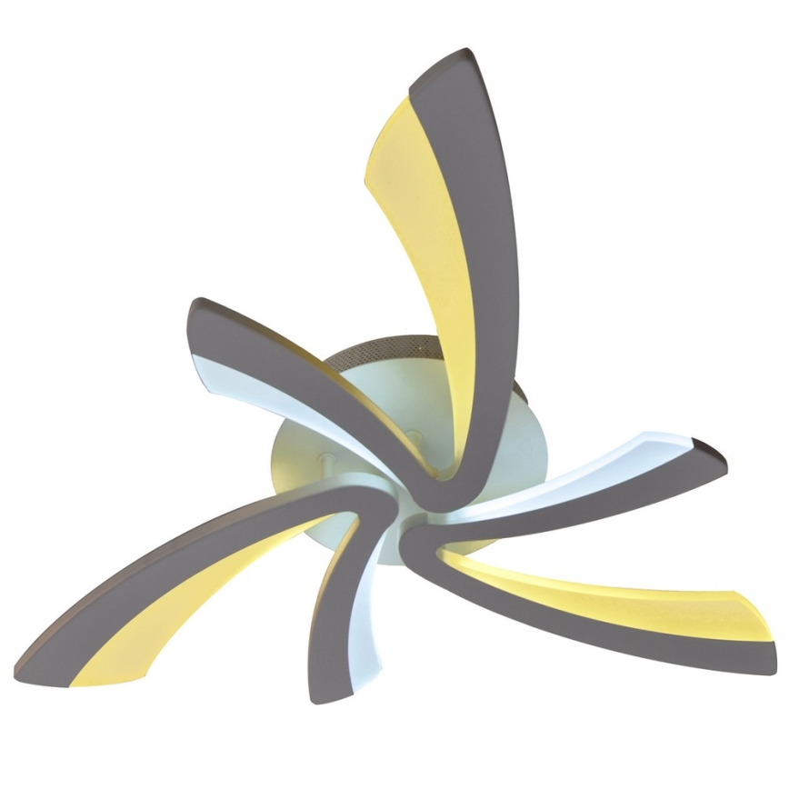 LED Ρυθμιζόμενο Φωτιστικό Οροφής FLORANCE 2xLED/30W/230V + τηλεχειριστήριο