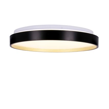 Φωτιστικό οροφής LED FLORIDA LED/18W/230V μαύρο